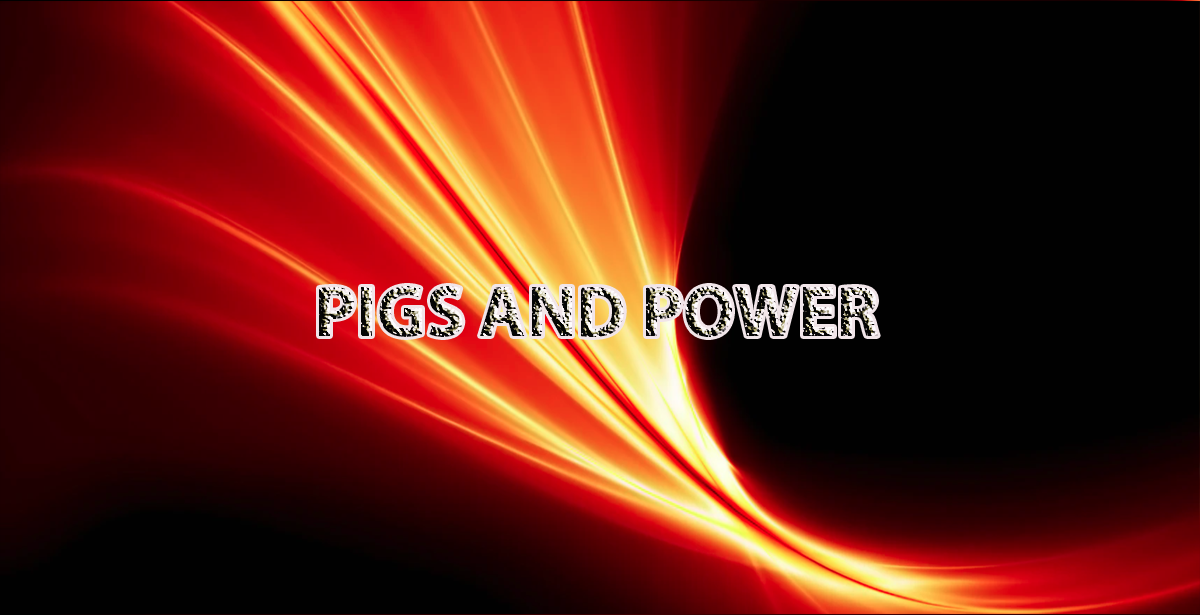 PIGS AND POWER