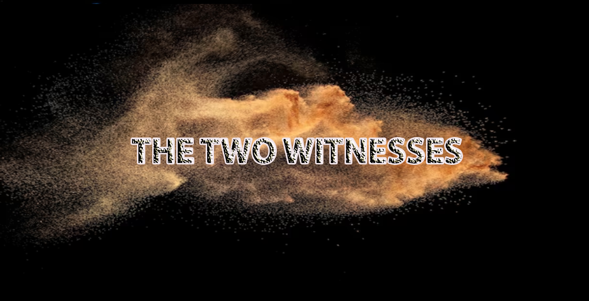 THE TWO WITNESSES