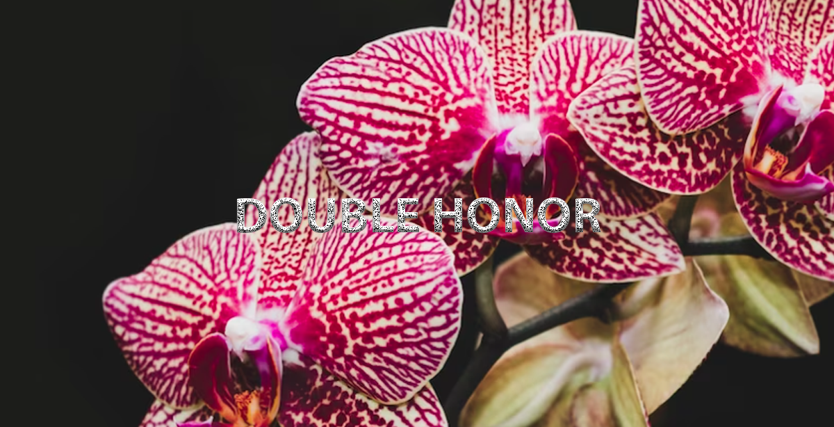 DOUBLE HONOR