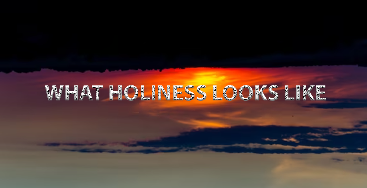 WHAT HOLINESS LOOKS LIKE