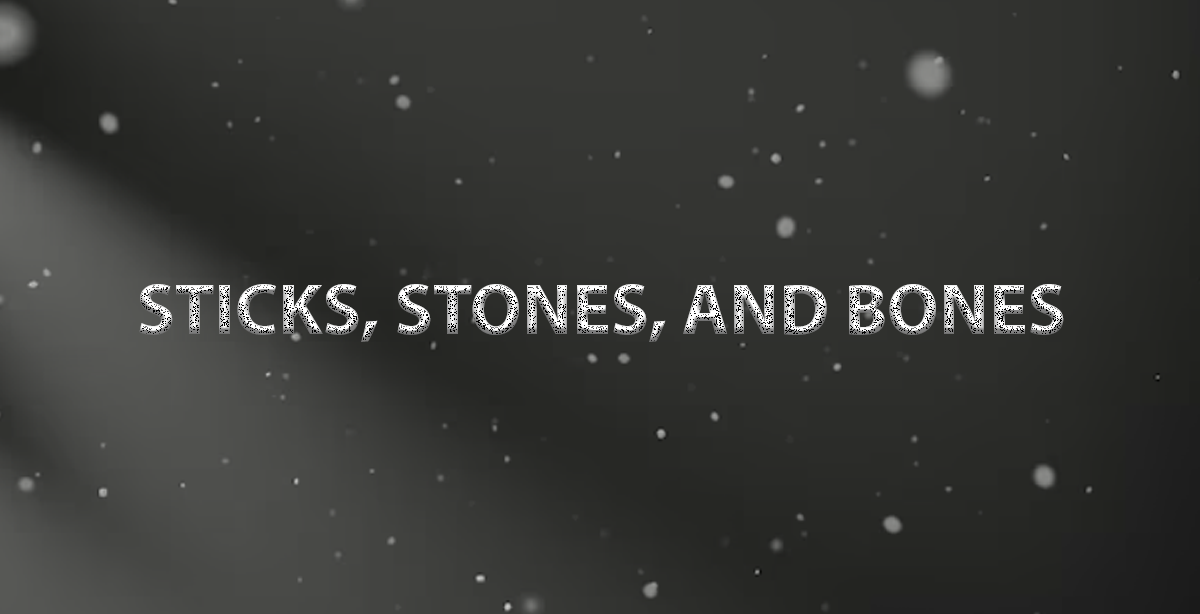 STICKS, STONES, AND BONES