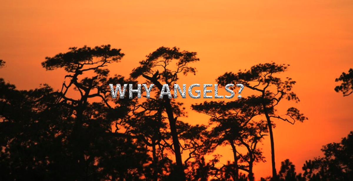 WHY ANGELS?