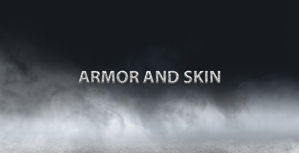 ARMOR AND SKIN