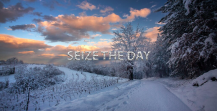 SEIZE THE DAY